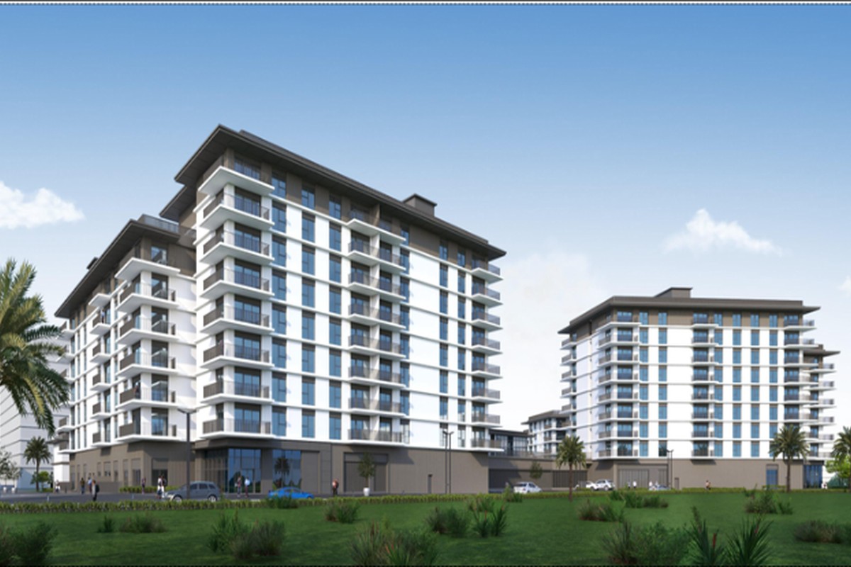 Ocean Cove